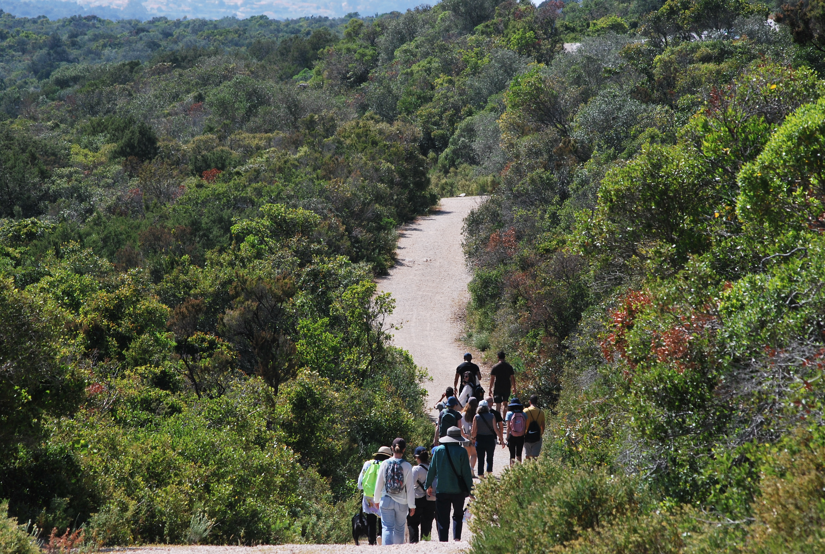 Arrábida: Picnic entre a Serra e o Mar